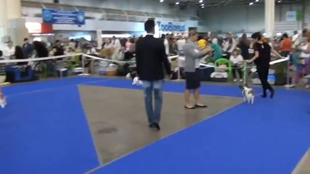 ПАПИЛЬОНЫ 28 08 2015 смотреть онлайн