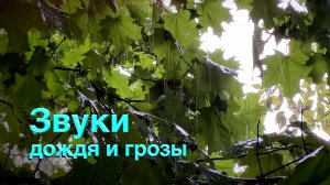 Звуки дождя и грозы в городе / Москва, спальный район, снято из окна