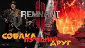 Лучший стартовый класс для НОВИЧКА в Remnant-2 - это кинолог. Гайд для сингл-плеера и одиночной игры