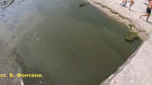 Пляжи Одессы. Зеленая вода. Чистые пляжи. #море. От Ланжерона до Черноморки. Водоросли на пляжах.