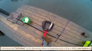 Платная рыбалка в Подмосковье на форель в ноябре