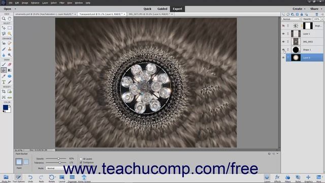 Learn How to Hide and Show Layers in Adobe Photoshop Elements 2023: A Training Tutorial