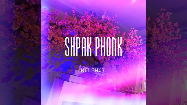 N0LEN07 - Shpak Phonk смотреть онлайн