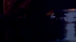 ENIGMA Feat. Fox Lima 🔸️✠ MMX - The Social Song 🔸️✠