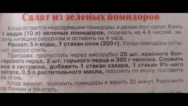 САЛАТ ИЗ ЗЕЛЕНЫХ ПОМИДОР.. ПАЛЬЧИКИ ОБЛИЖЕШЬ ?