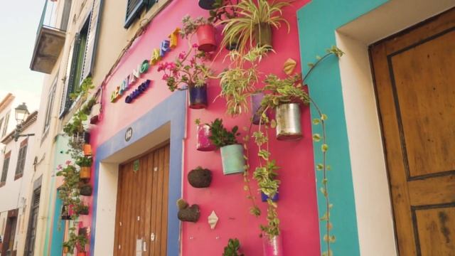 Красочный Дом с Висячими Горшечными Растениями смотреть онлайн