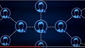 NL International – международная торговая марка