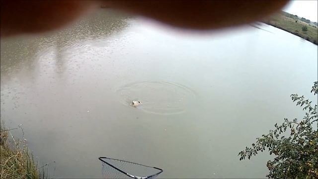 Рыбалка на КМВ, с. Привольное 1-й пруд смотреть онлайн