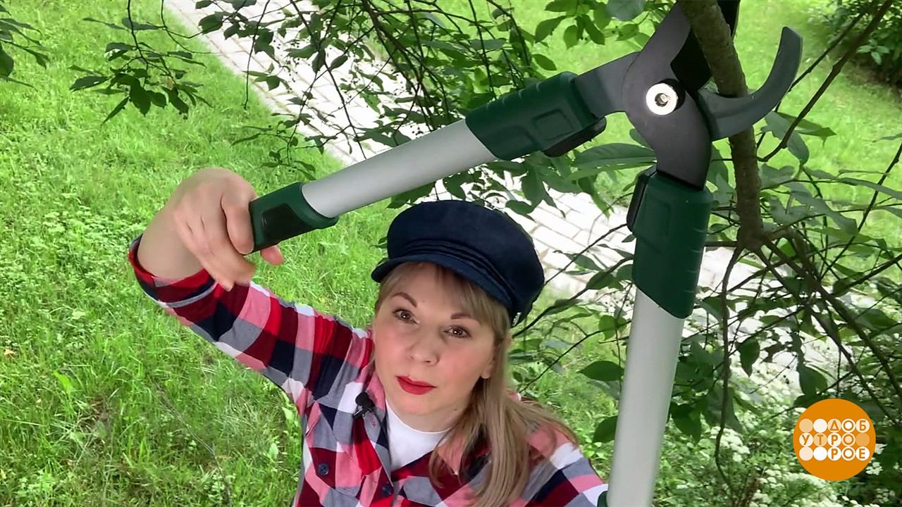 Секатор? Сучкорез? Берем выше - высоторез! Доброе утро. Фрагмент выпуска от 30.06.2020