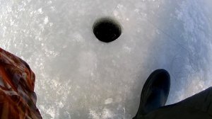 Бешеный клёв щуки на жерлицы. Ловля щуки на жерлицы. Жерлицы на щуку / Щука зимой