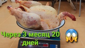 ИНДЮКИ БИК - 6. Тяжёлый кросс сколько кг бывает через 3 месяцев.