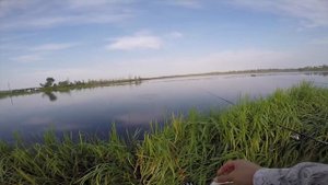 Ловля карася на Торфяниках на поплавочную удочку. Рыбалка в Калининградской области.