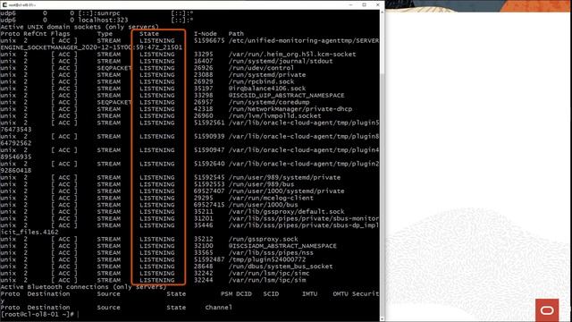 Using the netstat Utility on Oracle Linux смотреть онлайн