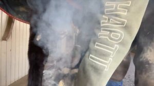 Полная реставрация копыт лошади