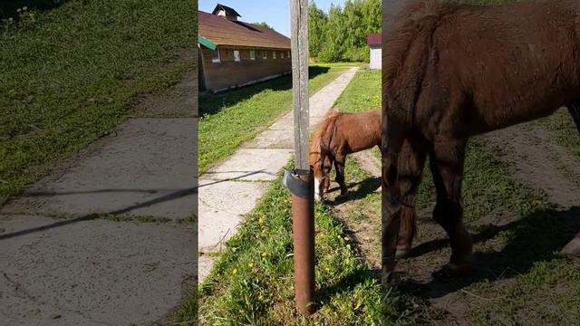 Сегодня после ингаляции поехали подвигаться. 😄