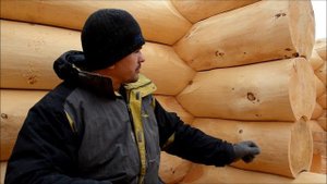 Cкрайбинг или завешивание в пазах. Сруб из кедра по канадской технологии часть 42