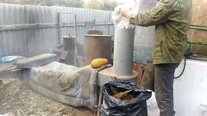 Измельчаем метелки Амаранта  для животных
