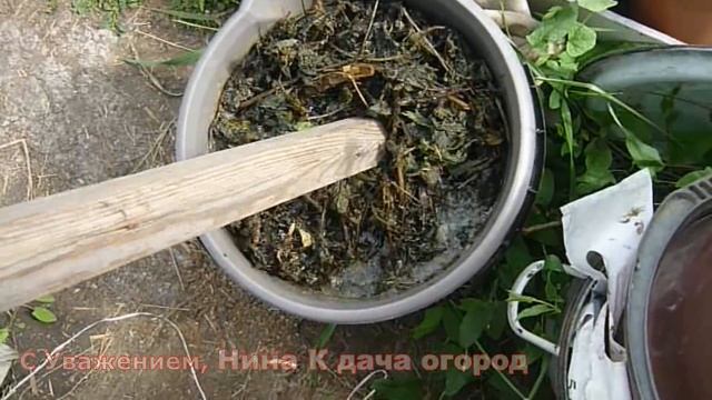 ПОРАЗИТЕЛЬНЫЙ РЕЗУЛЬТАТ ПОСЛЕ ЭТОЙ ПОДКОРМКИ ДЛЯ ТОМАТОВ И ОГУРЦОВ❗ ЗЕЛЕНОЕ УДОБРЕНИЕ СВОИМИ РУКАМИ