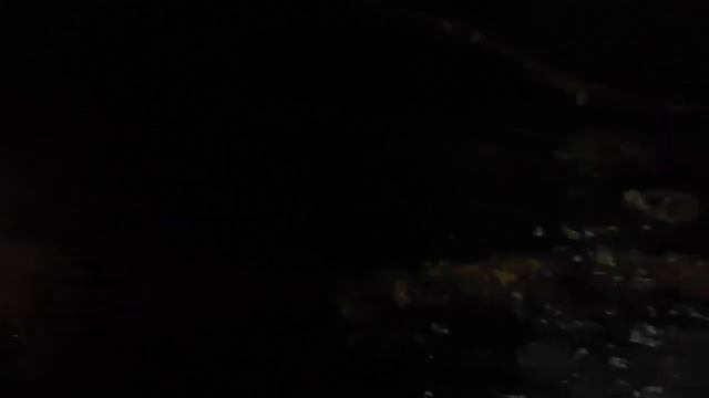 The Dog Squad visit Kendal Castle смотреть онлайн