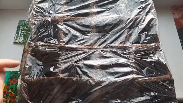 ОГУРЦЫ и ПОМИДОРКИ ДОМА. От семян до первых всходов. смотреть онлайн