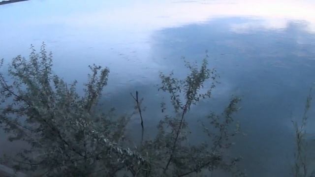 Рыбалка на Или, вобла, карась, мелкая рыба. Уха. Плохая погода. смотреть онлайн