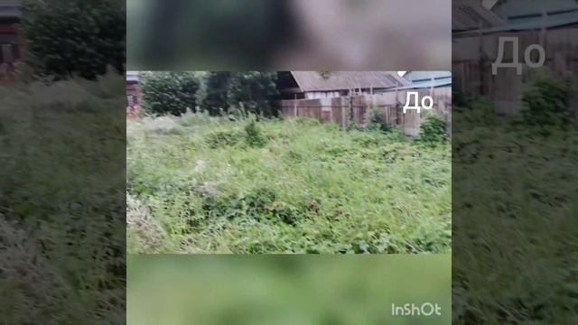 Покос высокой, густой травы на запущенном участке.