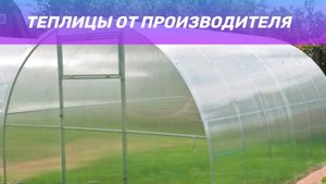 Особенности арочных теплиц от ТЕПЛИЦА-РУС