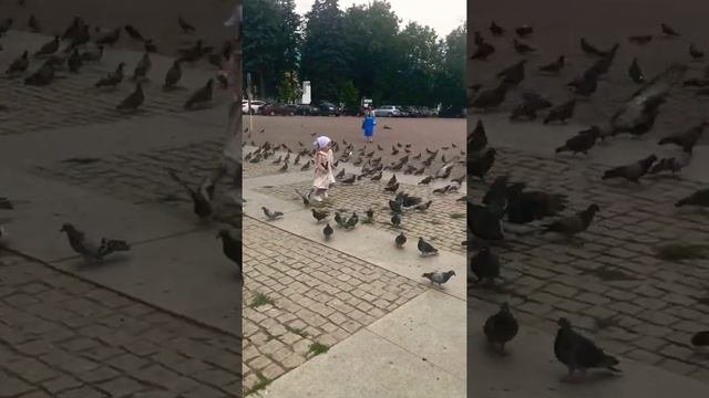 Достопримечательности Сергиев Посада.