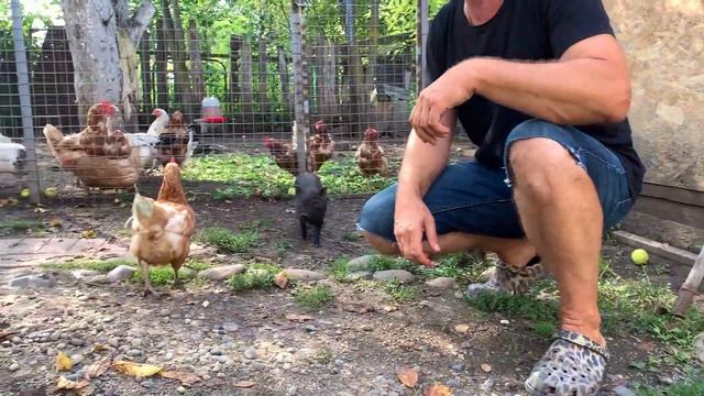 #269 Прокатились по посадкам и полям, собрали витаминов. Пробуем тушенку из утки смотреть онлайн