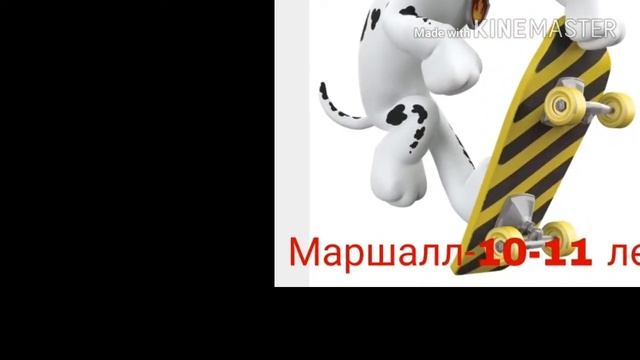 Кто ты из Щенячьего патруля по возрасту? смотреть онлайн