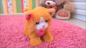 Милашка и игривый котенок Дейзи ( Hasbro FurReal friends )