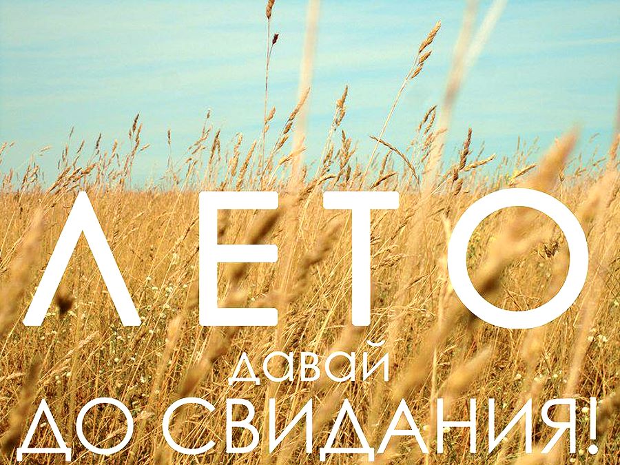 С Последним Днем Лета, Друзья