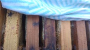 Зимовка пчел в ульях лежаках !!! 11.01.2020