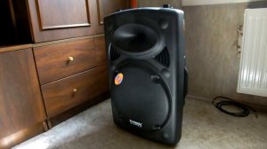 temeisheng dp 2305E тест звука комбик колонка на аккумуляторе