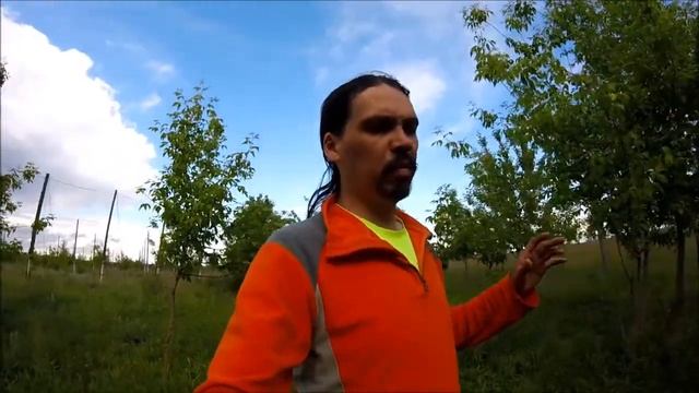 Заброшенные хмельники в Чувашии
