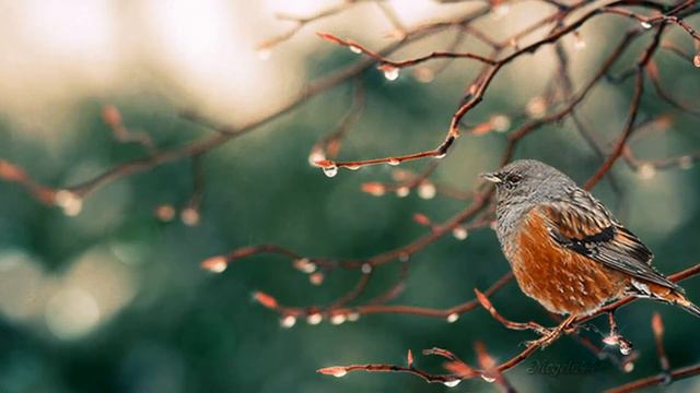 Встречаем вербное воскресенье смотреть онлайн