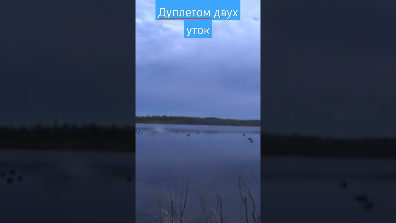 Дуплетом двух уток #охота смотреть онлайн