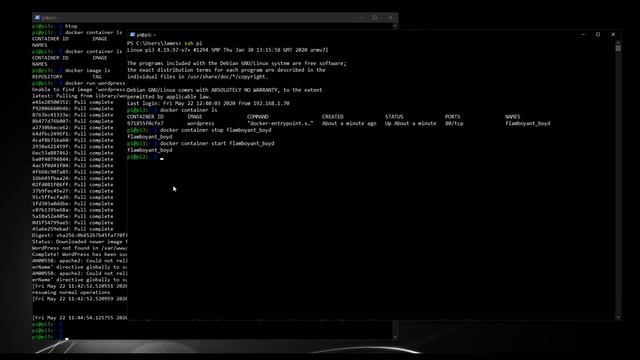10. Exposing a Raspberry Pi hosted website to the internet | Hosting a website for free смотреть онлайн