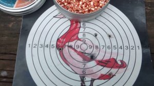 СЫРАЯ ПРИСТРЕЛКА МР-515 ПУЛЯМИ H&N BARACUDA POWER 0,69g