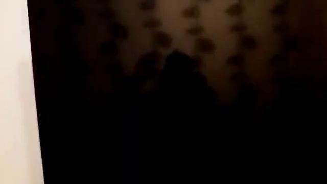 Аксессуары для моего компьютера! смотреть онлайн