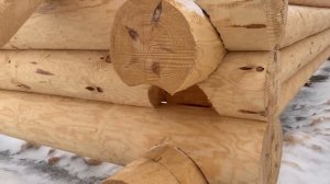 Как сделать выноса у сруба!?