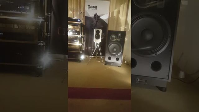 Magnat Transpuls 1500 смотреть онлайн