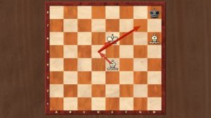 Мат двумя слонами.Кратко и Ясно.