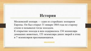 Что такое зоопарк