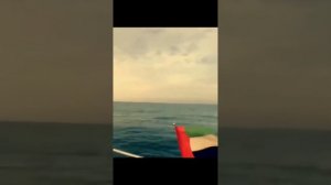 QARDAŞİM NİHAT QULİ 2024