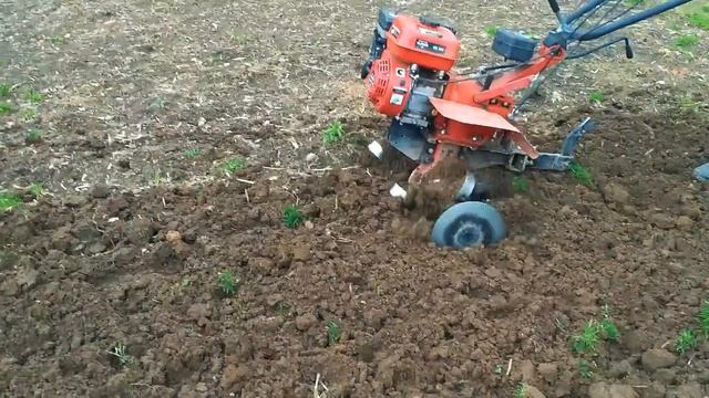 ЛЁГКИЙ КИТАЙСКИЙ МОТОБЛОК 7 ЛС. Elitech кб900 7 лс