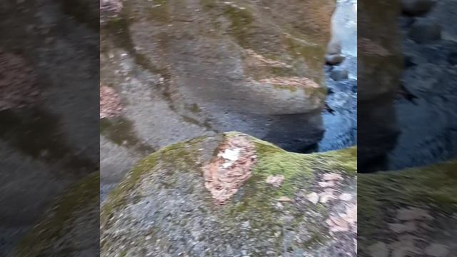 Чистые воды Лабы.
