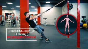 07 ТЯГА К ПОЯСУ В TRX ПЕТЛЯХ