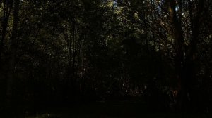 Грустная музыка из Тик Тока без слов для фона. Фоновая музыка для Стихов Цитат