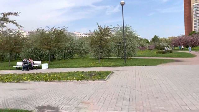 20 мая 2021 г. Яблоневый Сад! Одно из самых красивейших мест в конце мая в Санкт-Петербурге! смотреть онлайн